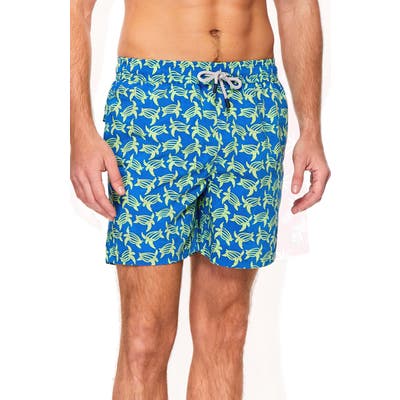 Tom & Teddy Turtle Print Swim Trunks, Blue