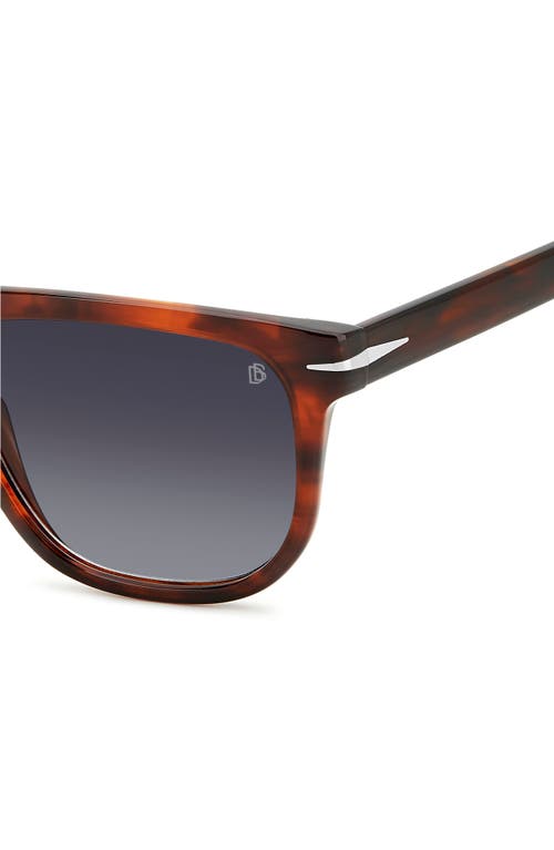 Shop David Beckham Eyewear 56mm Square Sunglasses In Brown Horn