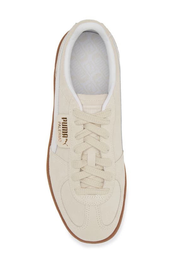 Shop Puma Palermo Sneaker In Alpine Snow- White