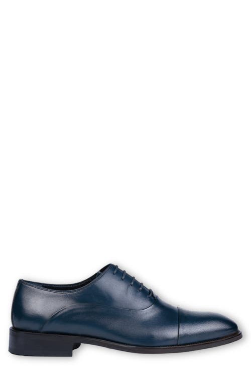 Vellapais Gambo Cap Toe Oxford Shoes In Navy Blue