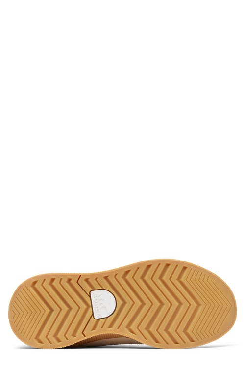 Sorel Out N About Iv Waterproof Sneaker In Honey White/sanguine