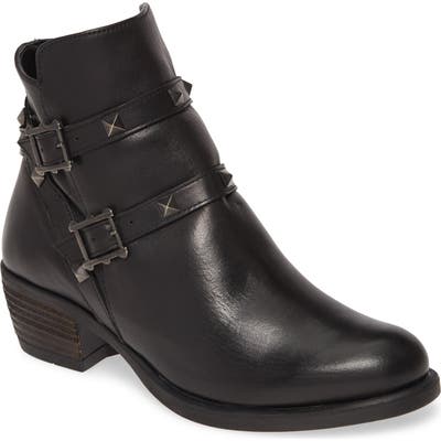 David Tate Asia Bootie- Black