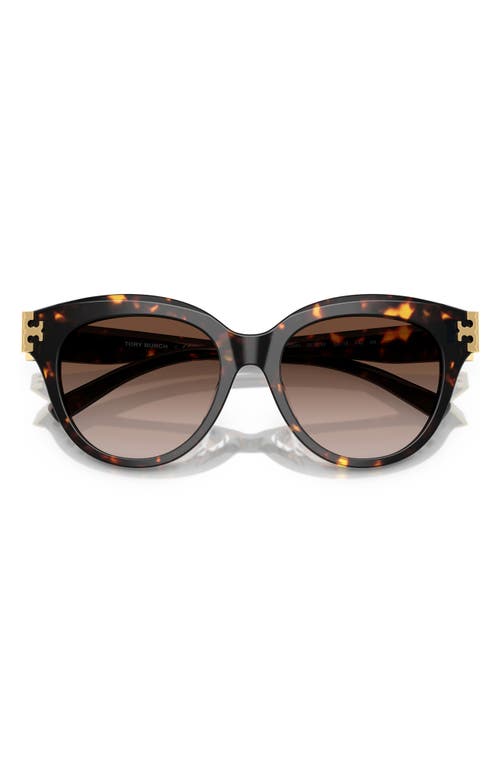 Tory Burch 53mm Gradient Phantos Sunglasses In 20161353 Brown Tort
