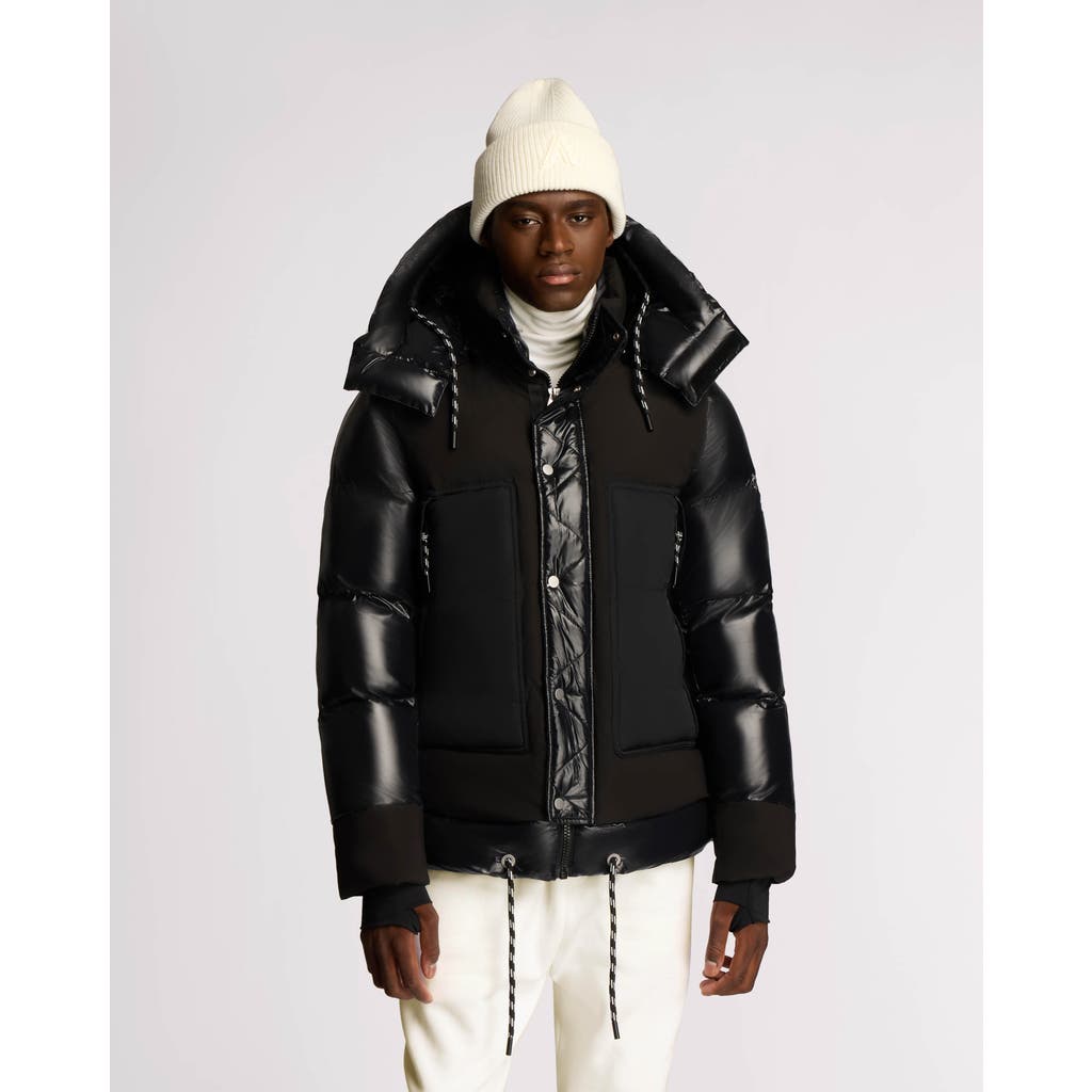 Alpenhaus Farlin Mixed Media Relaxed Fit Puffer With Removable Hood In Black
