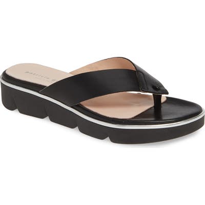 Patricia Green Casablanca Flip Flop, Black