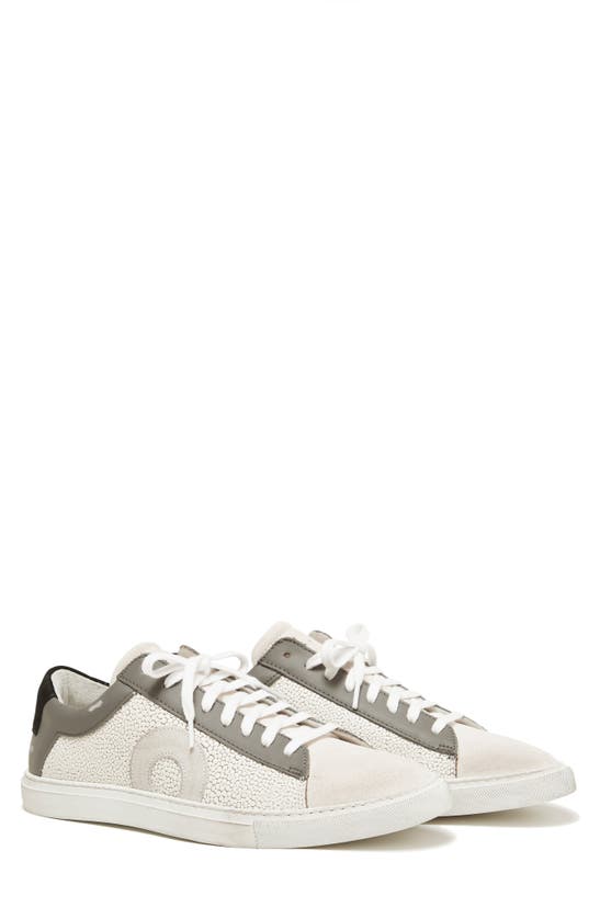 Shop Oliver Cabell Low 1 Sneaker In Stingray