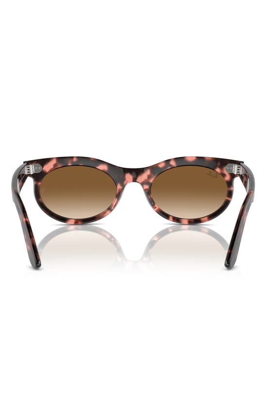 Ray Ban Wayfarer Oval Sunglasses Pink Havana Frame Brown Lenses 53-22 In Havana Pink