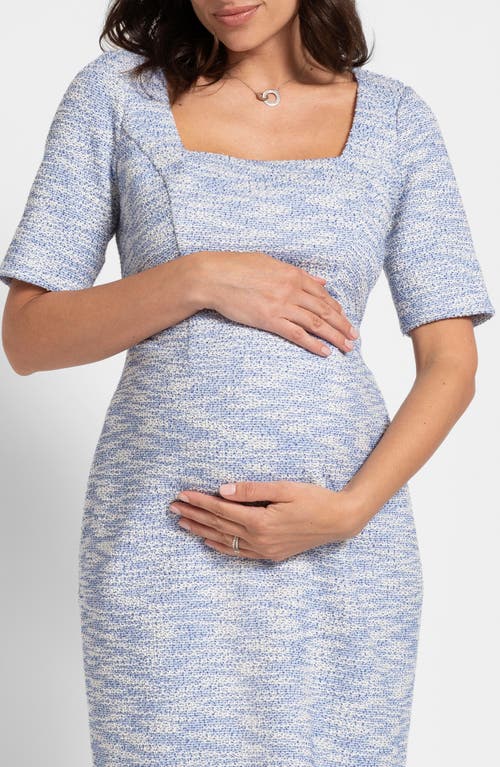 Shop Seraphine Tweed Maternity Dress In Blue