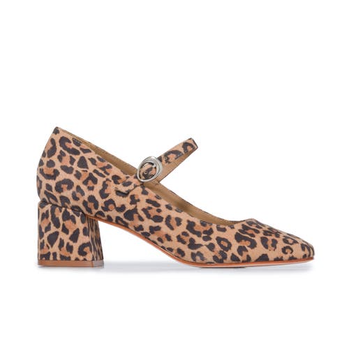 Shop Bernardo Footwear Ancona Block Heel Mary Jane In Sand Cheetah