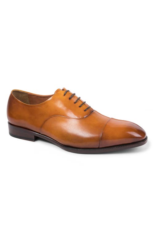 Anthony Veer Genoa Cap Toe Oxford In Tan