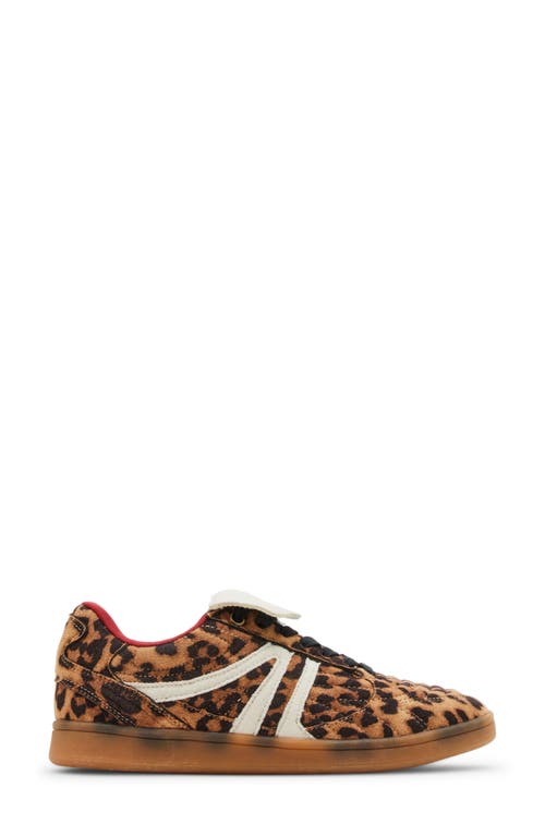 Shop Steve Madden Madrid Low Top Sneaker In Leopard