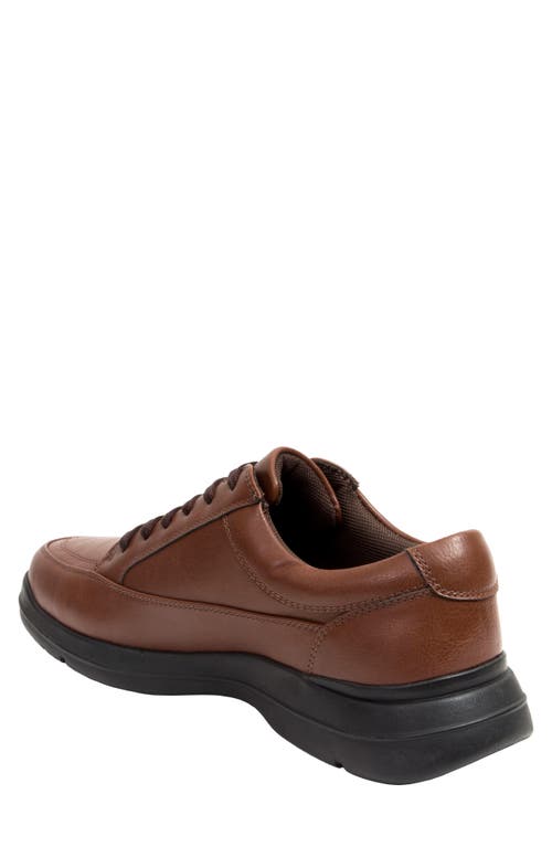 Deer Stags Durham Sneaker In Dark Brown