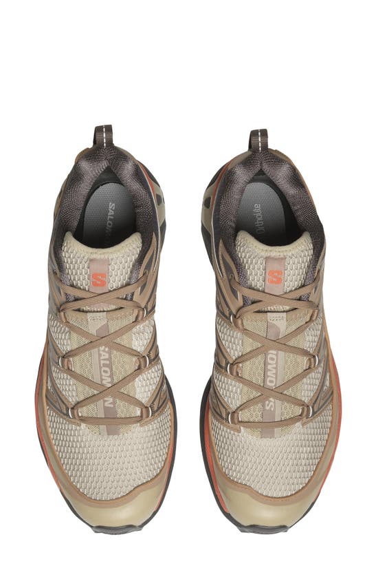 Shop Salomon Gender Inclusive Xt-6 Expanse Sneaker In Natural/ Cement/ Plum Kitt