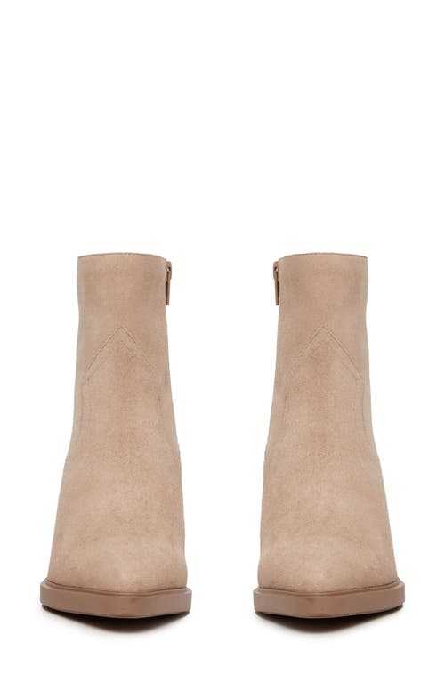 Shop Paige Glenn Pointed Toe Bootie In Light Tan