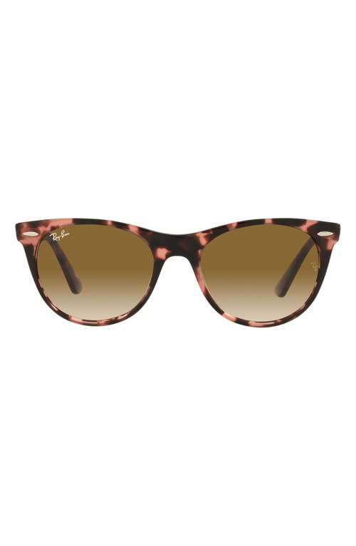 Ray-Ban Phantos 52mm Round Sunglasses in Pink Havana at Nordstrom