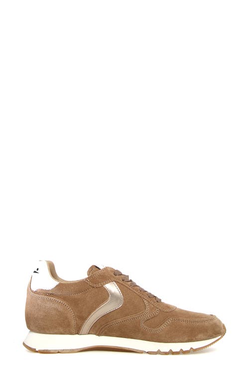Voile Blanche Julia Sneaker In Light Brown