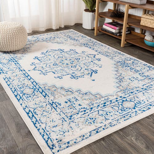 Jonathan Y Inigo Cottage Medallion Area Rug In Blue/gray