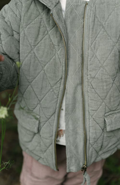 Pehr Organic Cotton Corduroy Quilted Hooded Jacket In Green
