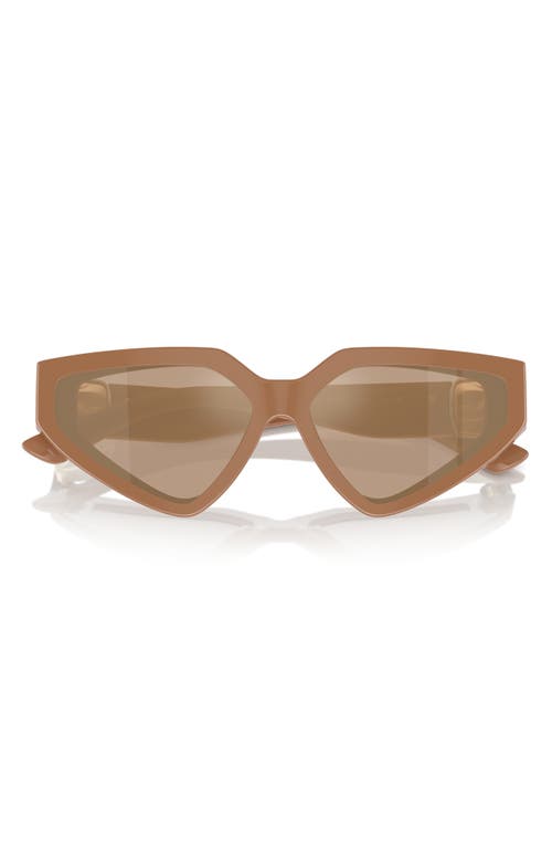 Dolce & Gabbana 59mm Butterfly Sunglasses in Camel at Nordstrom