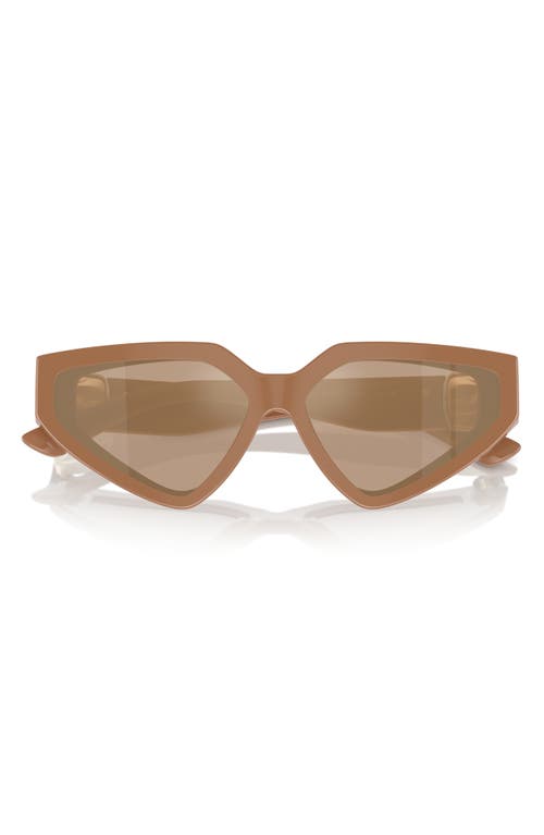 Shop Dolce & Gabbana Dolce&gabbana 59mm Butterfly Sunglasses In Camel