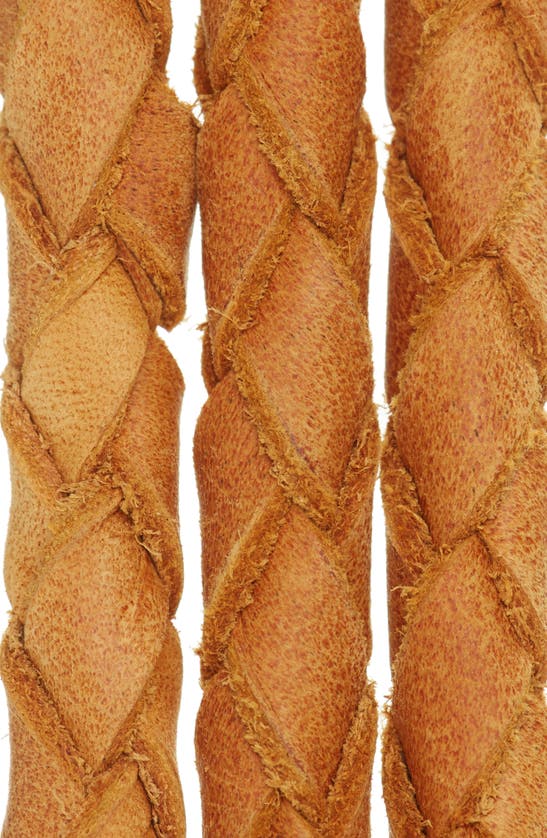 Ada Fringe Soga Leather Belt In Cognac