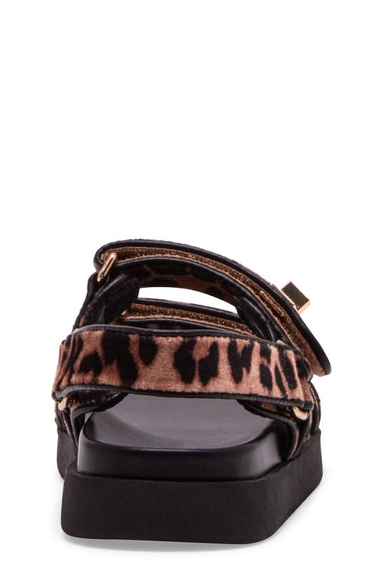 Steve Madden Mona Sandal In Leopard Velvet