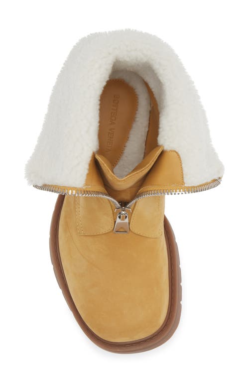 Shop Bottega Veneta Haddock Lug Sole Genuine Shearling Lined Boot In Ochre/popcorn