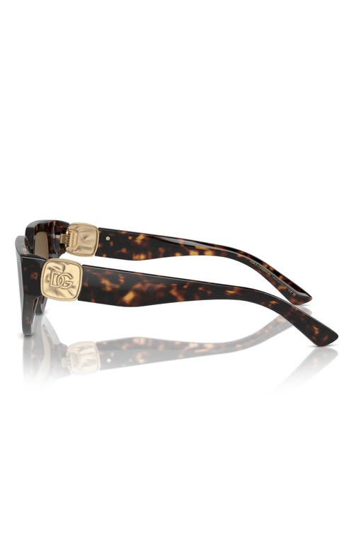 Shop Dolce & Gabbana Dolce&gabbana 59mm Butterfly Sunglasses In Havana