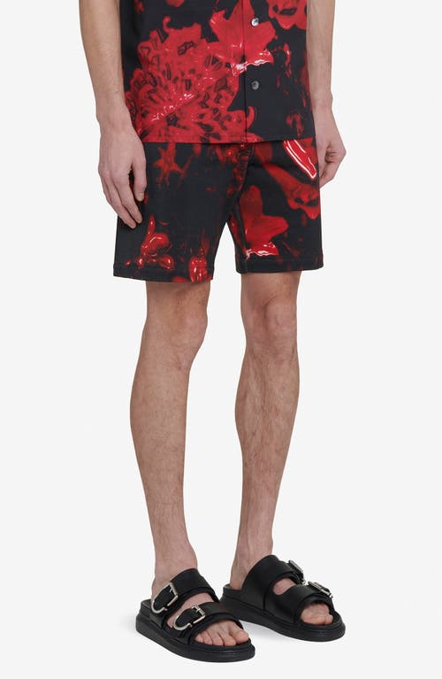 Shop Alexander Mcqueen Print Cotton Shorts In Black - Red