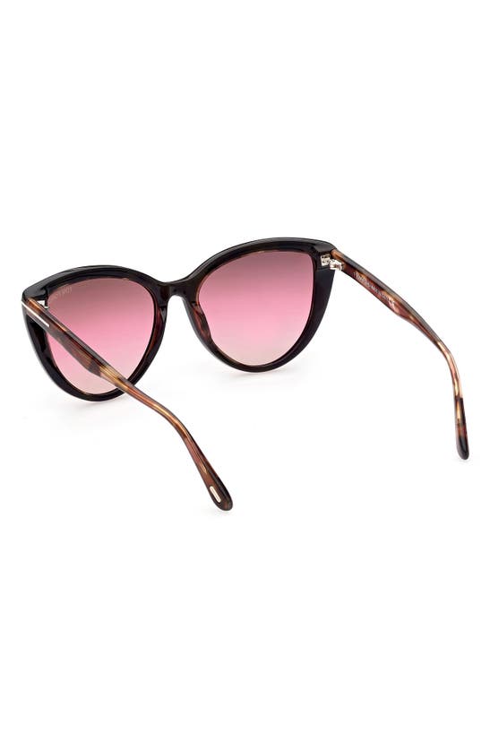 Tom Ford Isabella 56mm Cat Eye Sunglasses In Sblk/ Brng