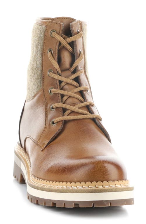 Shop Bos. & Co. Astra Waterproof Boot In Rich Tan/castanho