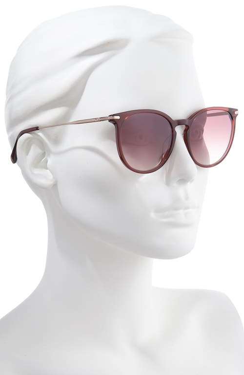 Shop Longchamp Roseau 54mm Round Sunglasses In Ruby/brown