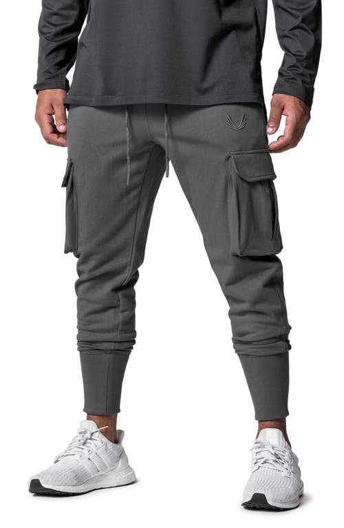 ASRV Tech-Terry High Rib Cargo Joggers at Nordstrom,