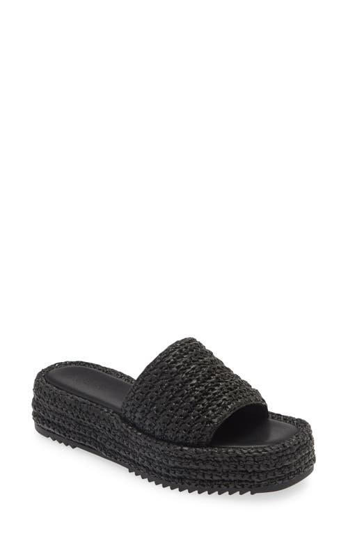 Open Edit Gisella Platform Slide Sandal Raffia at Nordstrom,