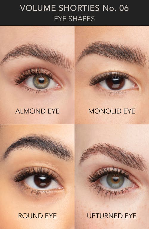 Pro Lash Starter Kit In Volume Shorties No. 06