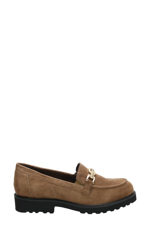 David Tate Magical Loafer In Taupe Suede