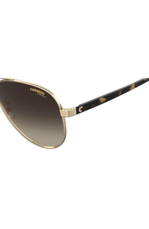 Carrera Eyewear 58mm Aviator Sunglasses In Gold Havana/brown Gradient