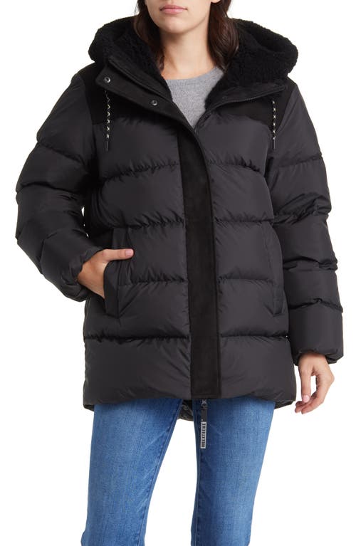 UGG(r) Shasta Genuine Shearling 700 Fill Power Water Resistant Down Jacket in Black