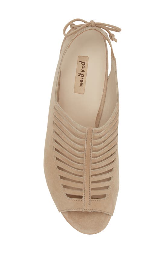 Shop Paul Green Talia Slingback Sandal In Champagne Suede