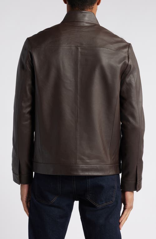 Nordstrom Stand Collar Leather Bomber Jacket In Brown Bean