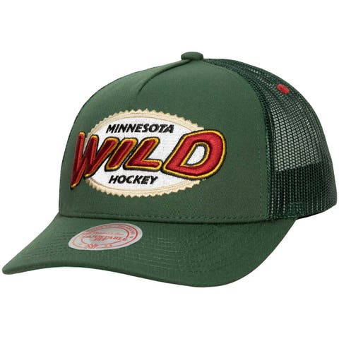 Mitchell & Ness Team Ground 2.0 Cap (boston celtics green)