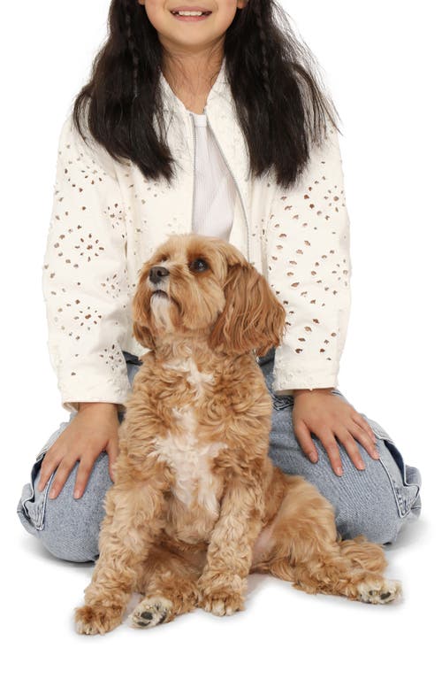 Shop Belle & Bloom Cool Like Me Bomber In White