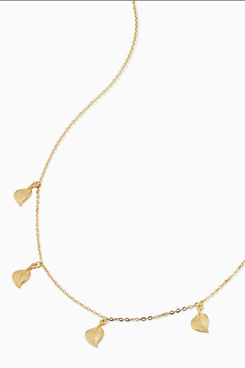 Oradina 14k Yellow Gold New Beginnings Station Choker In Yellow Gold