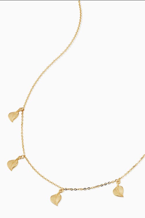 ORADINA ORADINA 14K YELLOW GOLD NEW BEGINNINGS STATION CHOKER 