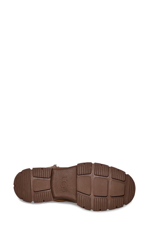 Shop Ugg(r) Ashton Zip Waterproof Boot In Chestnut