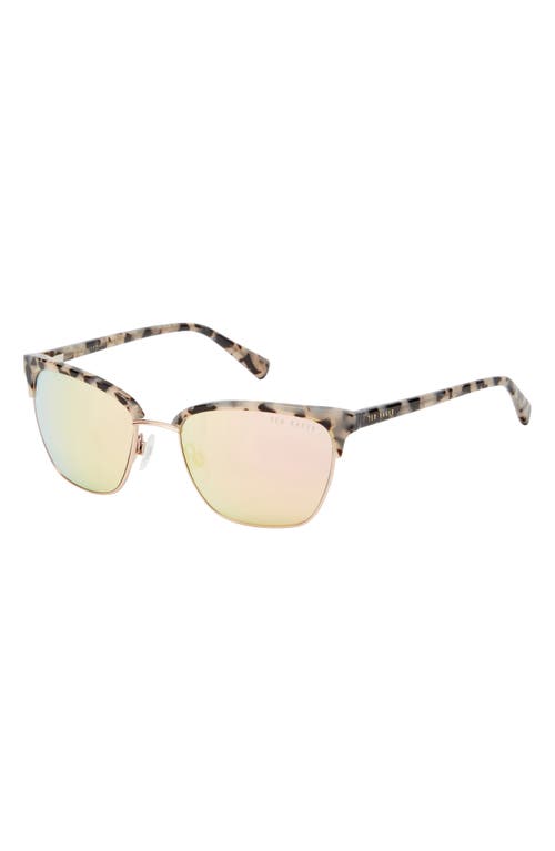 Shop Ted Baker London Full Rim Browline Sunglasses In Ivory