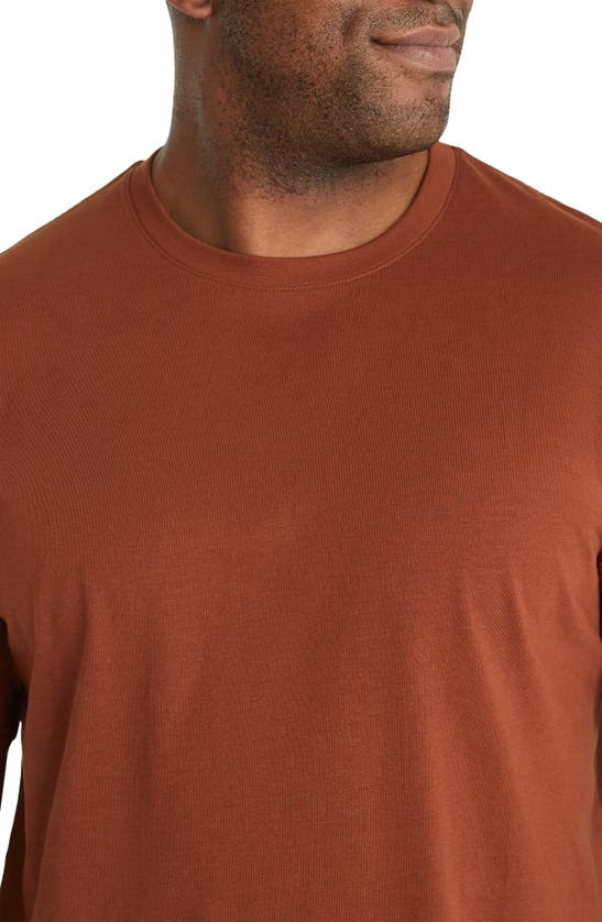 Shop Johnny Bigg Essential Crewneck Curve Hem Cotton T-shirt In Sienna