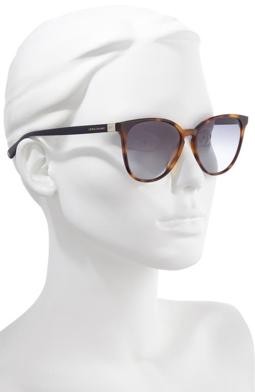 Shop Longchamp Le Pliage 53mm Gradient Cat Eye Sunglasses In Havana Blue/grey