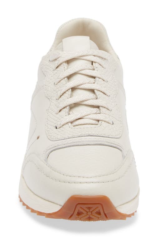 Frankie4 Brooklyn Chalk Sneaker In White Croc Emboss