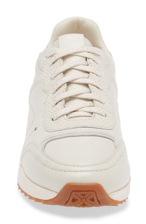 Shop Frankie4 Brooklyn Chalk Sneaker In White Croc Emboss